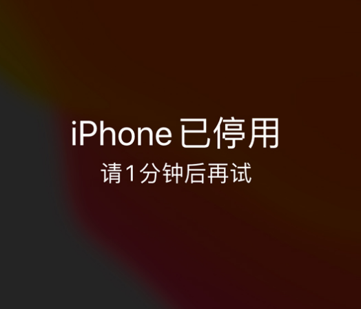 普安苹果手机维修分享:iPhone 显示“不可用”或“已停用”怎么办？还能保留数据吗？ 