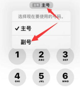 普安苹果14维修店分享iPhone 14 Pro Max使用副卡打电话的方法 