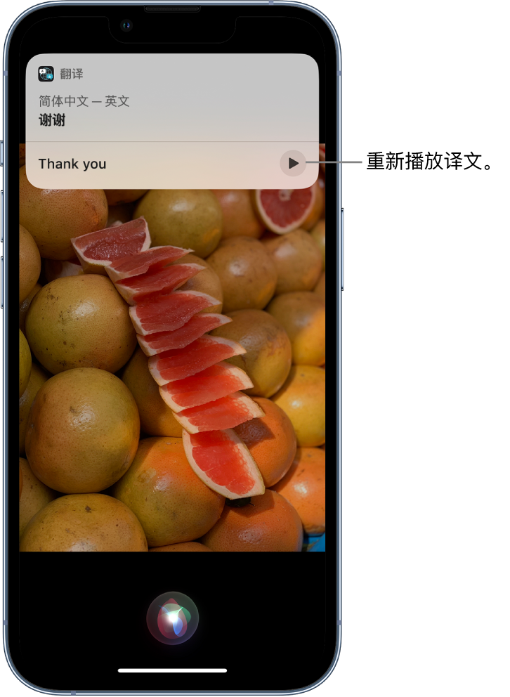 普安苹果14维修分享 iPhone 14 机型中使用 Siri：了解 Siri 能帮你做什么 