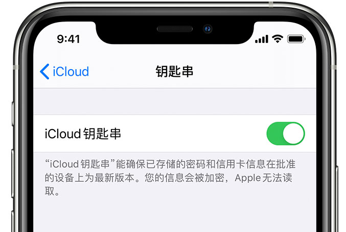 普安苹果手机维修分享在 iPhone 上开启 iCloud 钥匙串之后会储存哪些信息 