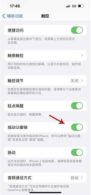 普安苹果手机维修分享iPhone手机如何设置摇一摇删除文字 