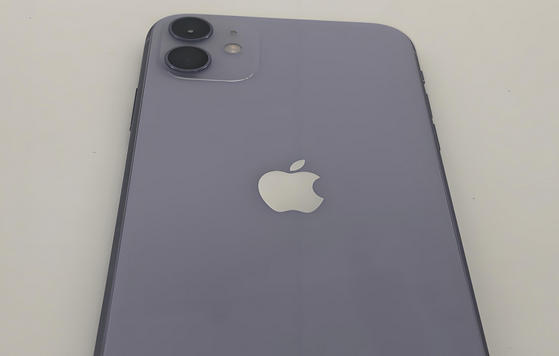 普安苹果11系统维修分享iPhone11手机系统崩溃无法开机如何解决